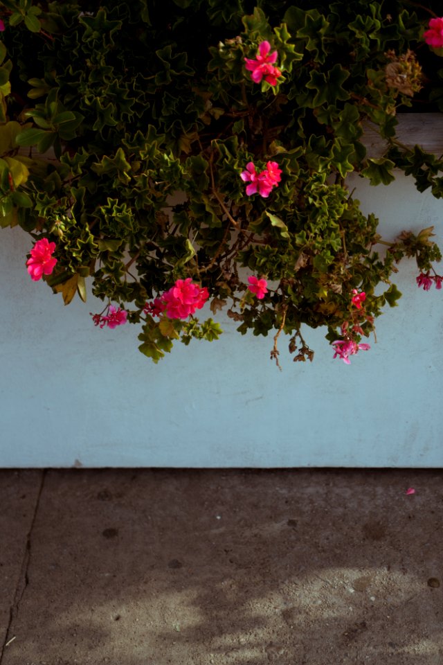 Hollywood, Los angeles, United states