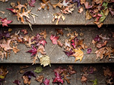 Autumn, Fall, Stairs photo