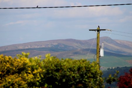 Irel, Kilkishen, Hills