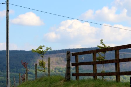 Irel, Kilkishen, Hills