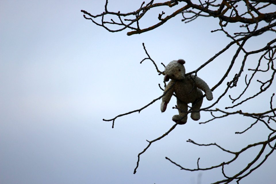 Toy, Helpless, Stuck