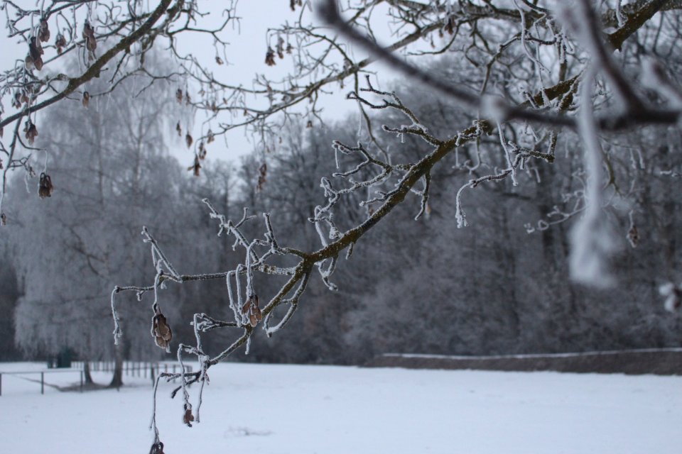 Depth of field, Snow, Ice