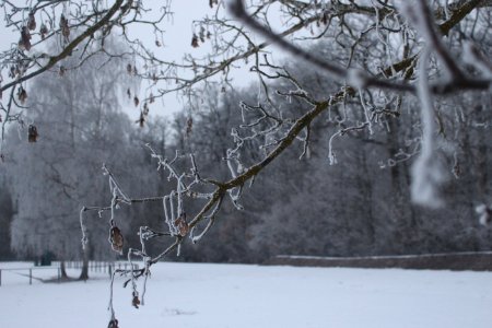 Depth of field, Snow, Ice
