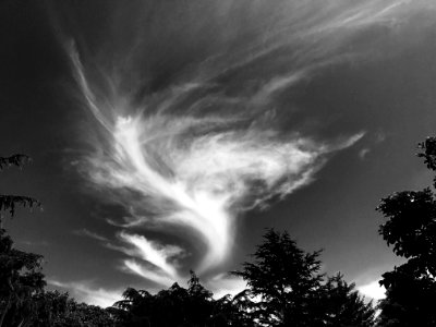 Cloud