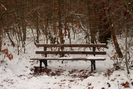 Snow, Winter, Lonely