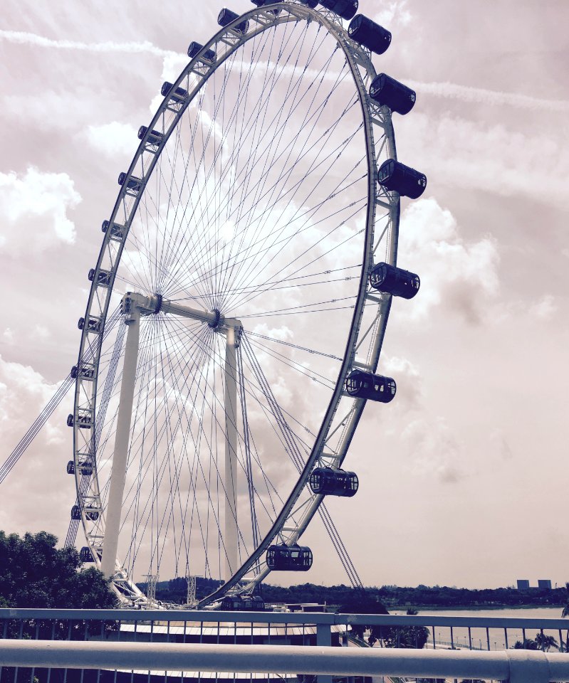 Ferris wheel, Singapore flyer