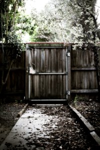 Wooden gate, Backyard