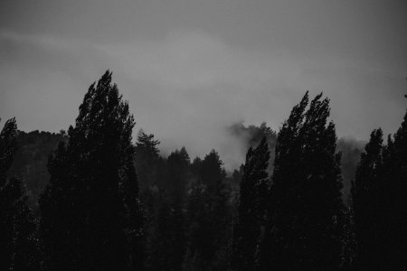 Bodega bay, United states, Gloomy photo