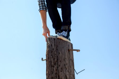 person standing on top of tree photo