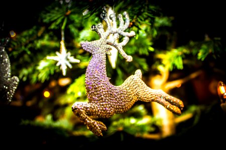 Wallpaper, Christmas tree, Renteer