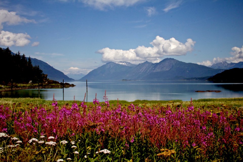 Sea, Glacier, Mountains