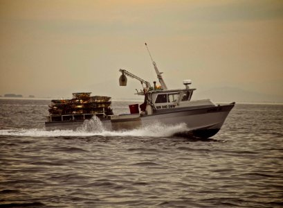 Crab, Boat