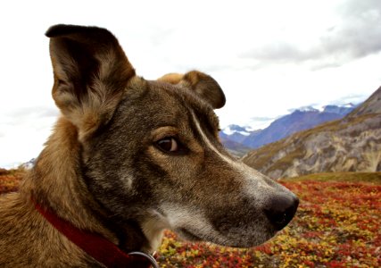 Yukon territory, Canada, Alaska
