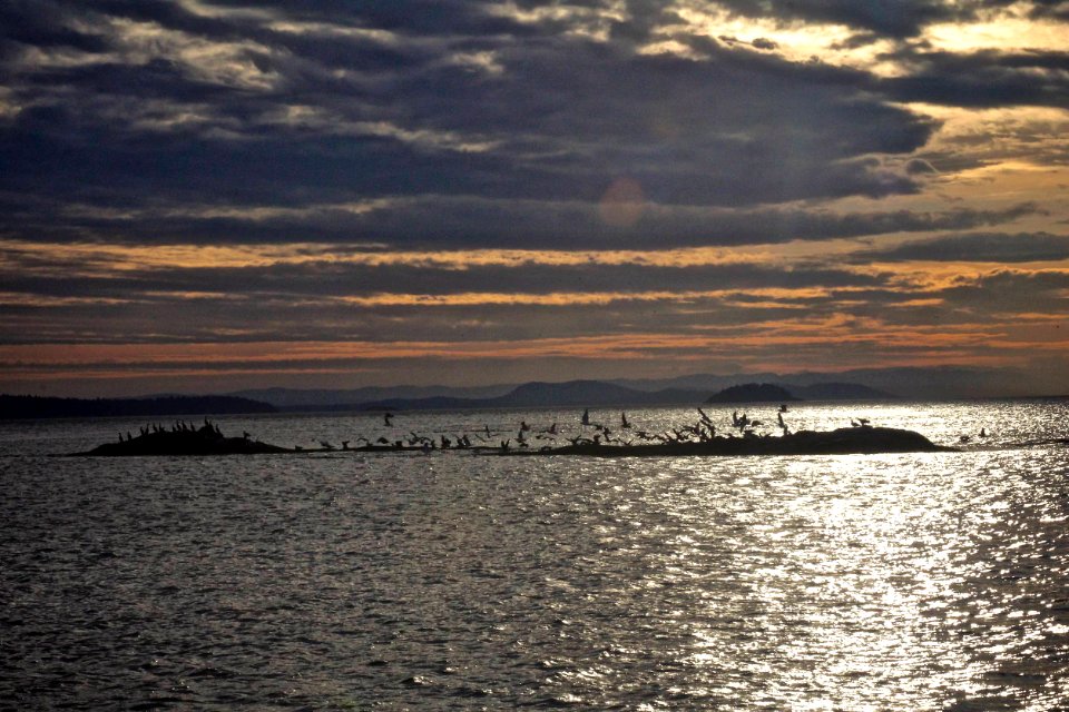 Sucia isl,  state park, Eastsound