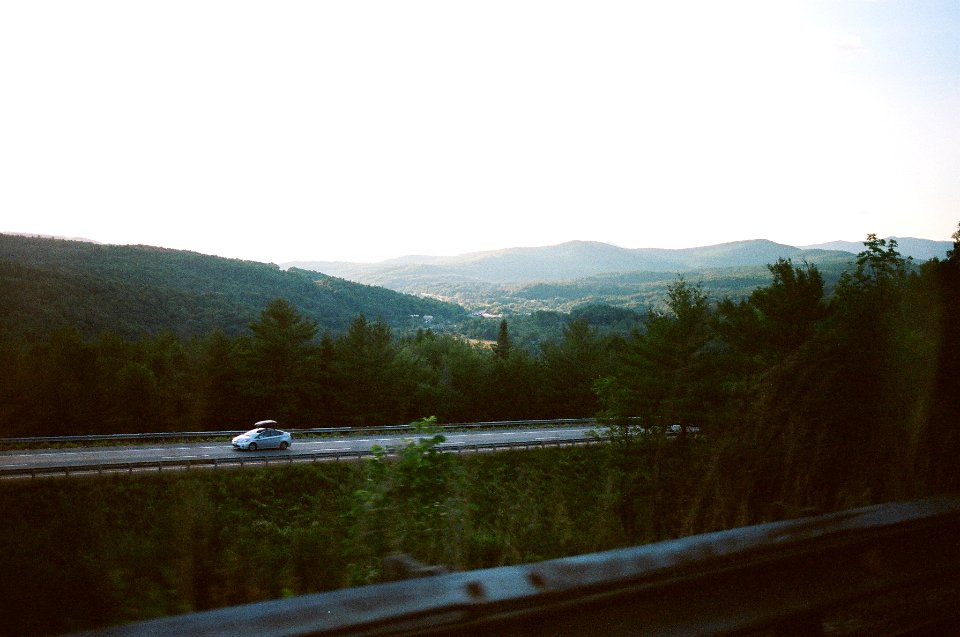 car riding on road between trees near mountain range