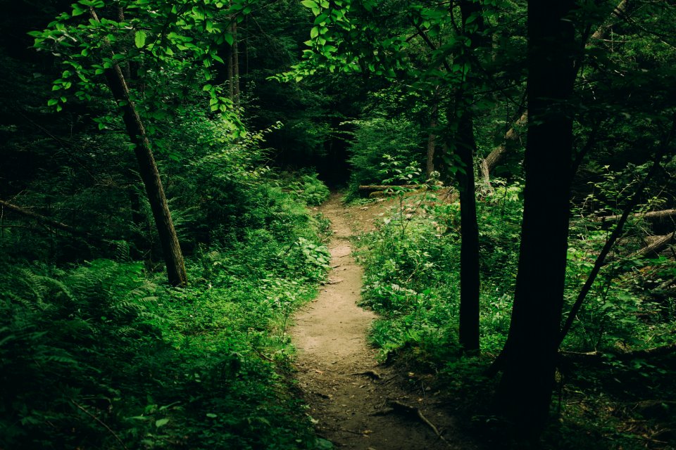 Norwich, United states, Trail