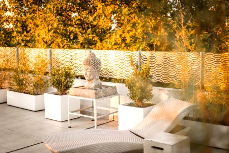 Plant, Statue, Sunrise