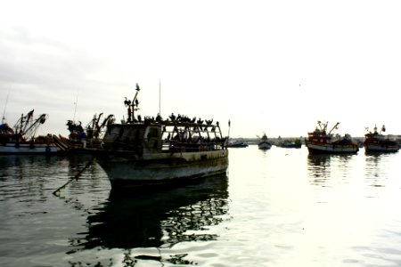 Paracas, Peru, Pacific