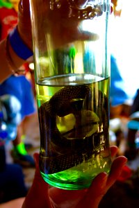 Peru, Ollantaytambo, Alcohol