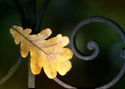 Fence fall power