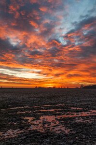 Landscape frost sun
