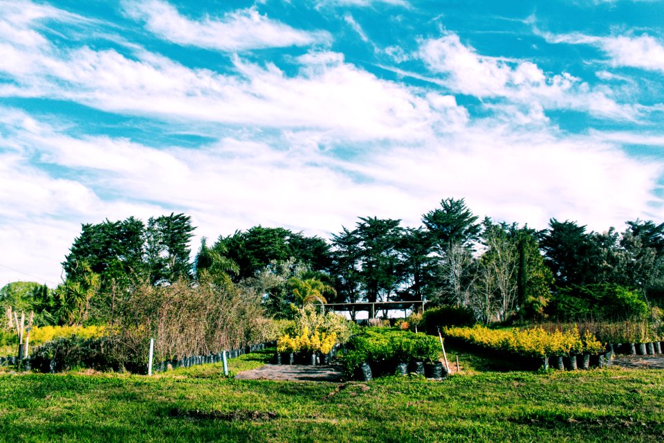 Canelones, Uruguay, Vivero el campo