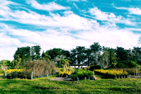 Canelones, Uruguay, Vivero el campo