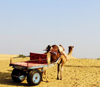 Desert horizon india photo