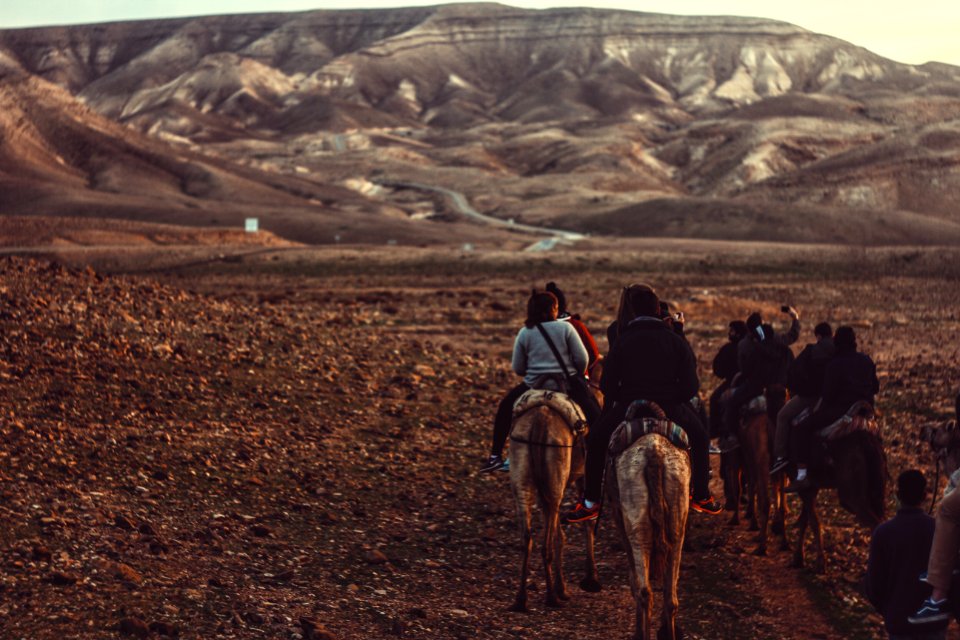 woman riding horse during daytime