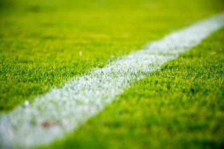 Close-up of a white line on green grass in a soccer field photo