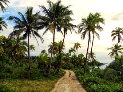 New caledonia