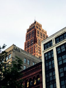 low angle photo of high-rise building