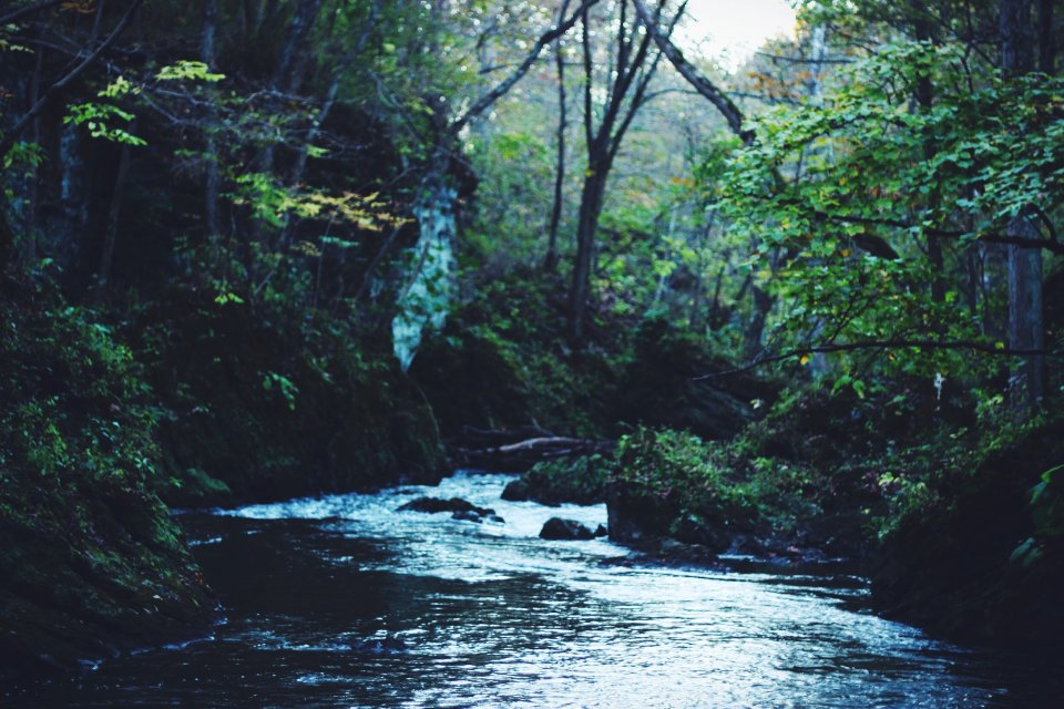 water flowing on river during daytime photo