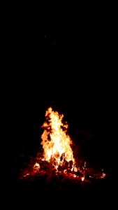 Burn, Funken, Trees