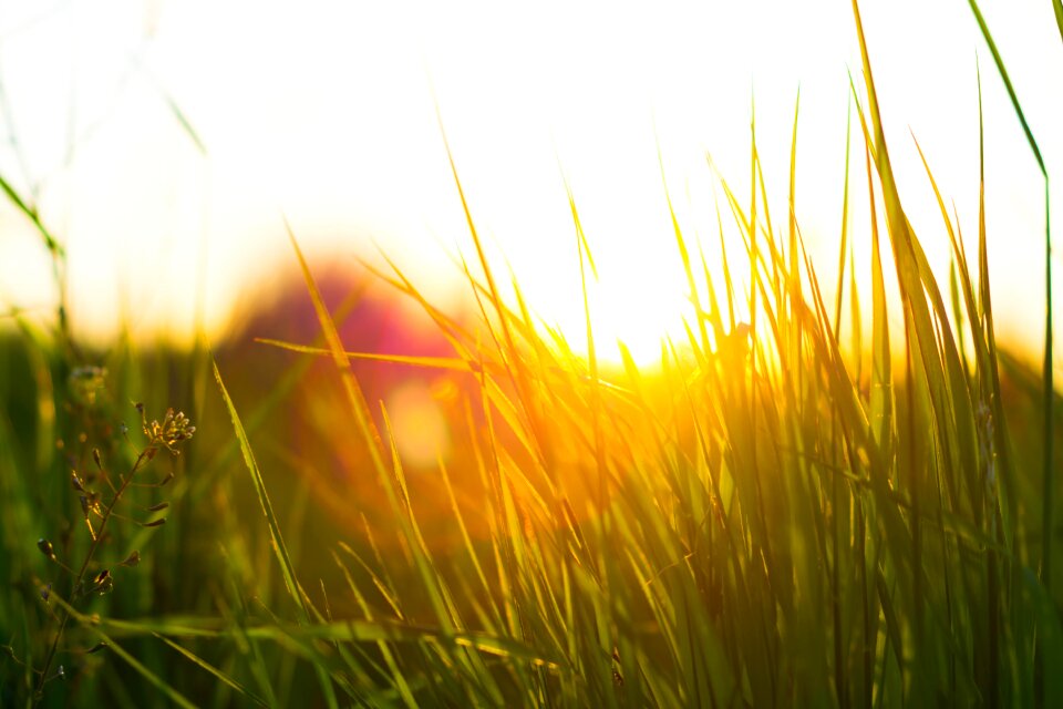 Nature nature wallpaper sunset