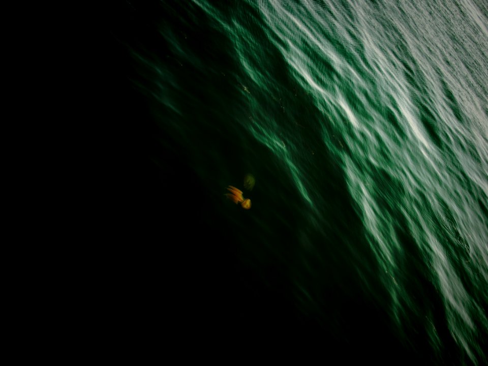 Water, Underwater, Ocean