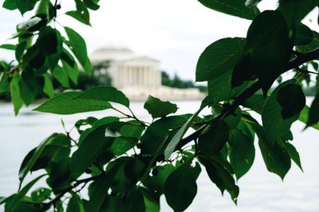 Washington, D.c., Thomas jefferson memorial