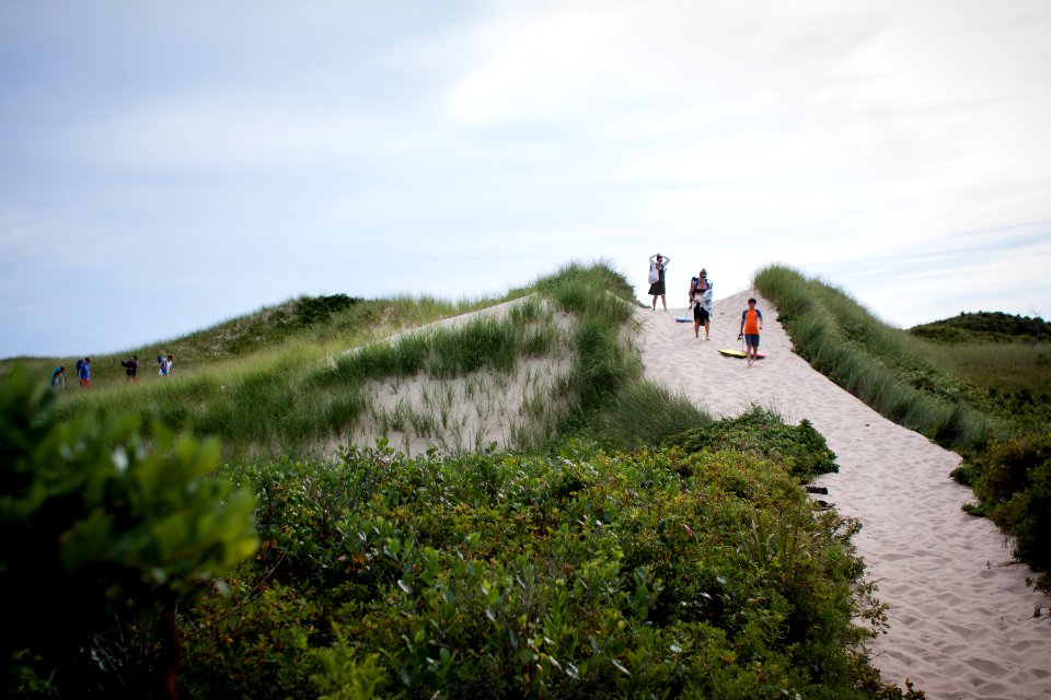Aquinnah, United states, Dune