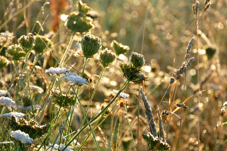 Green landscape outdoor