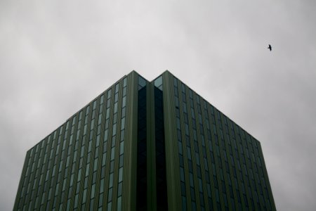 Yellowknife, Canada, Windows