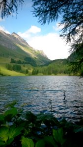 Palpuognasee, Switzerl, Stuglstuls
