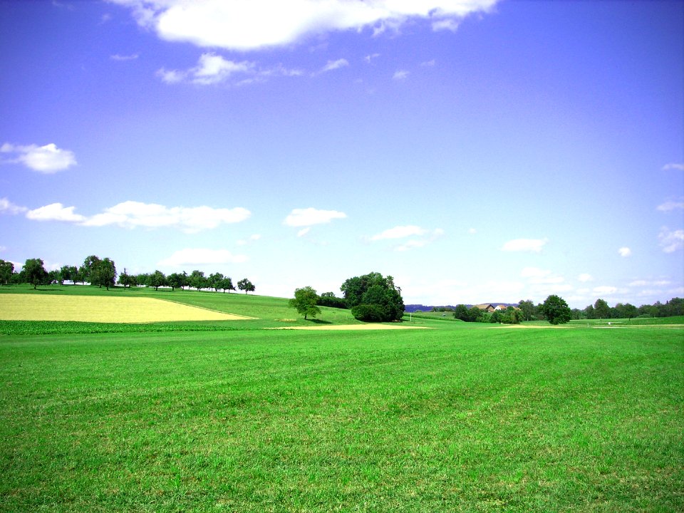 Mrwil, Switzerl, Scape