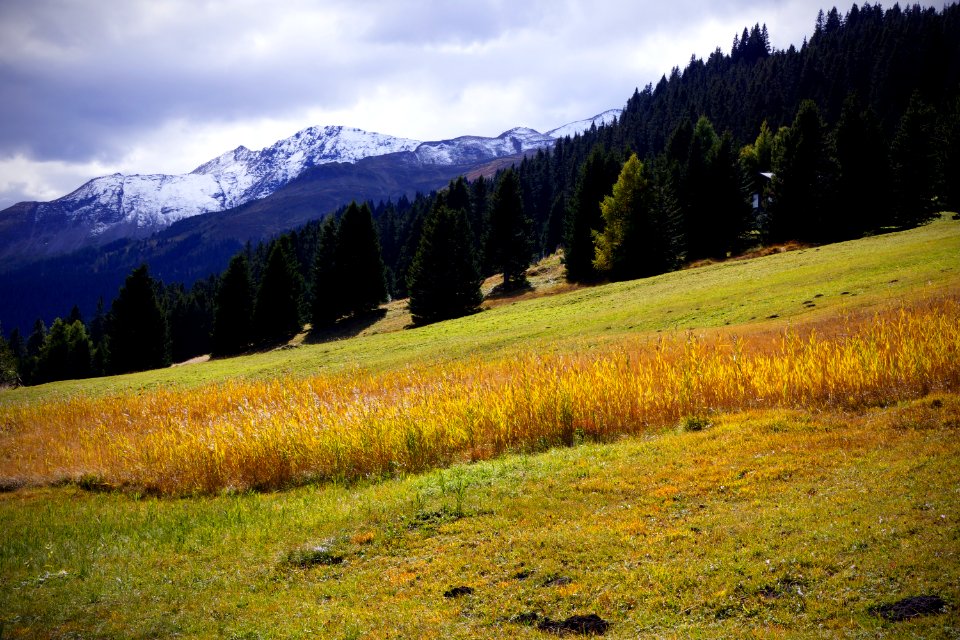 Brambresch, Schweiz, Fall