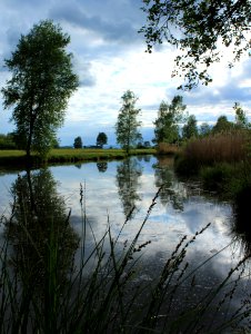Switzerl, M rwil, Affeltrangen