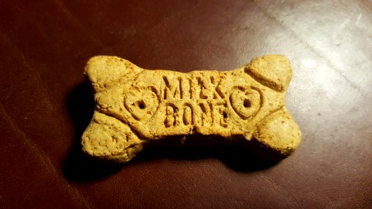 Milk bone, Pet, Treat photo