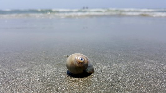 North myrtle beach, South carolina, United states