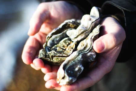 person holding stones photo