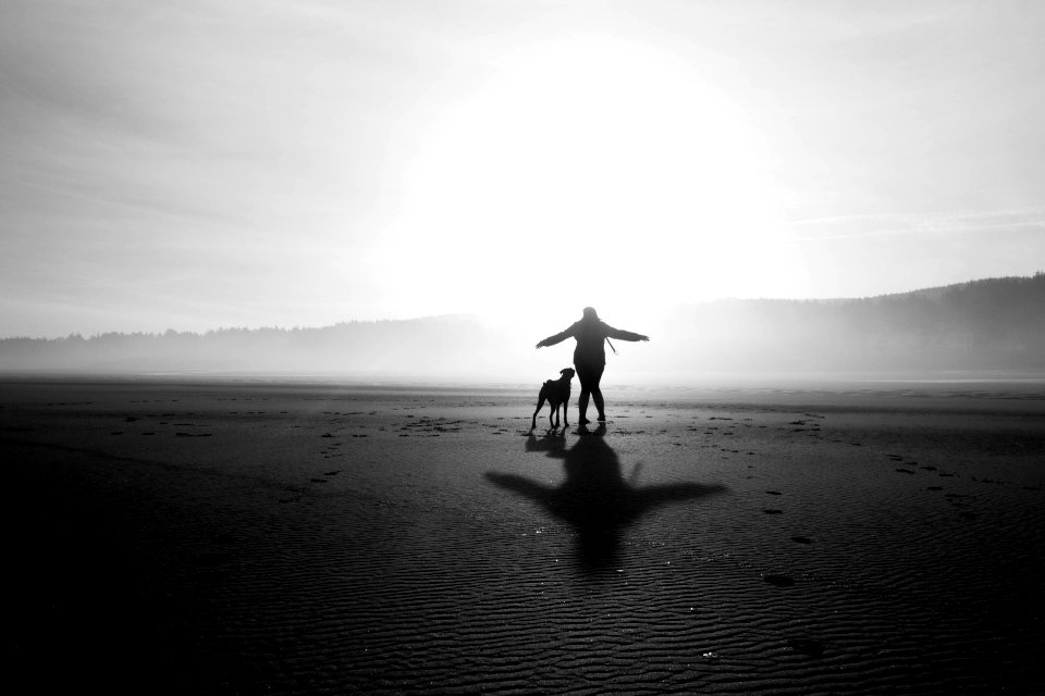 Dog, Beach photo