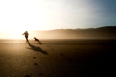 Dog, Dance, Morning photo