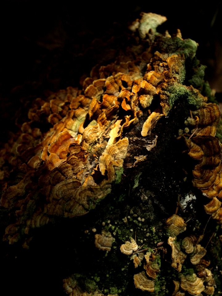 Parque natural urkiola, Bizkaia, Spain